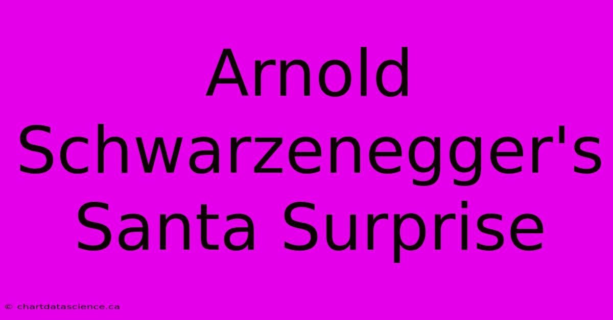 Arnold Schwarzenegger's Santa Surprise