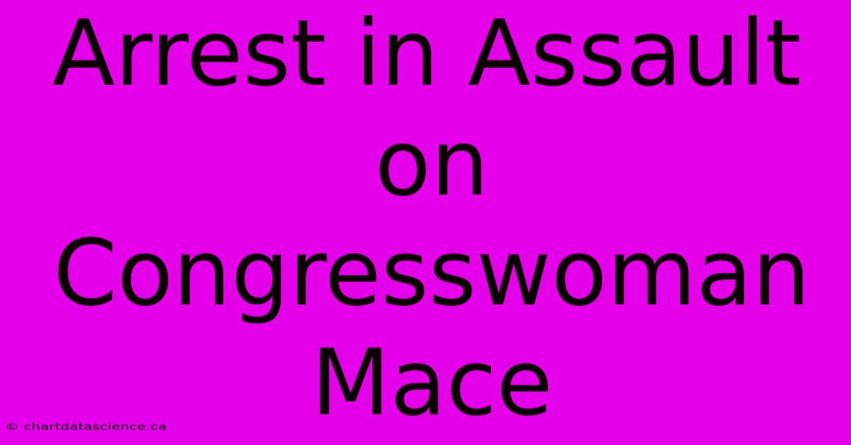 Arrest In Assault On Congresswoman Mace