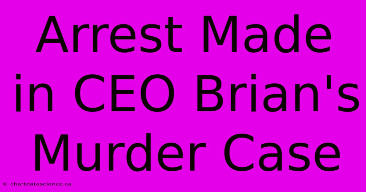 Arrest Made In CEO Brian's Murder Case