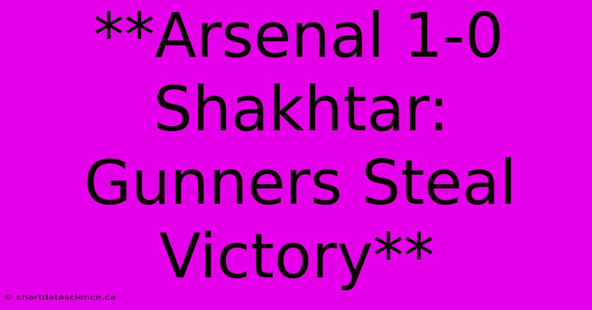 **Arsenal 1-0 Shakhtar: Gunners Steal Victory**