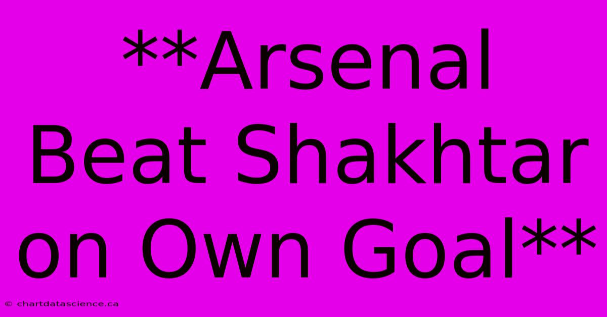 **Arsenal Beat Shakhtar On Own Goal**