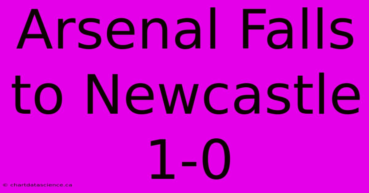 Arsenal Falls To Newcastle 1-0