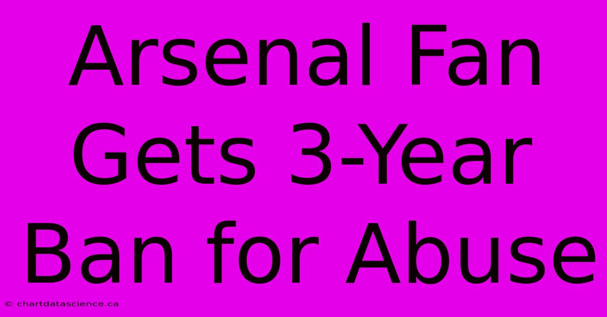 Arsenal Fan Gets 3-Year Ban For Abuse