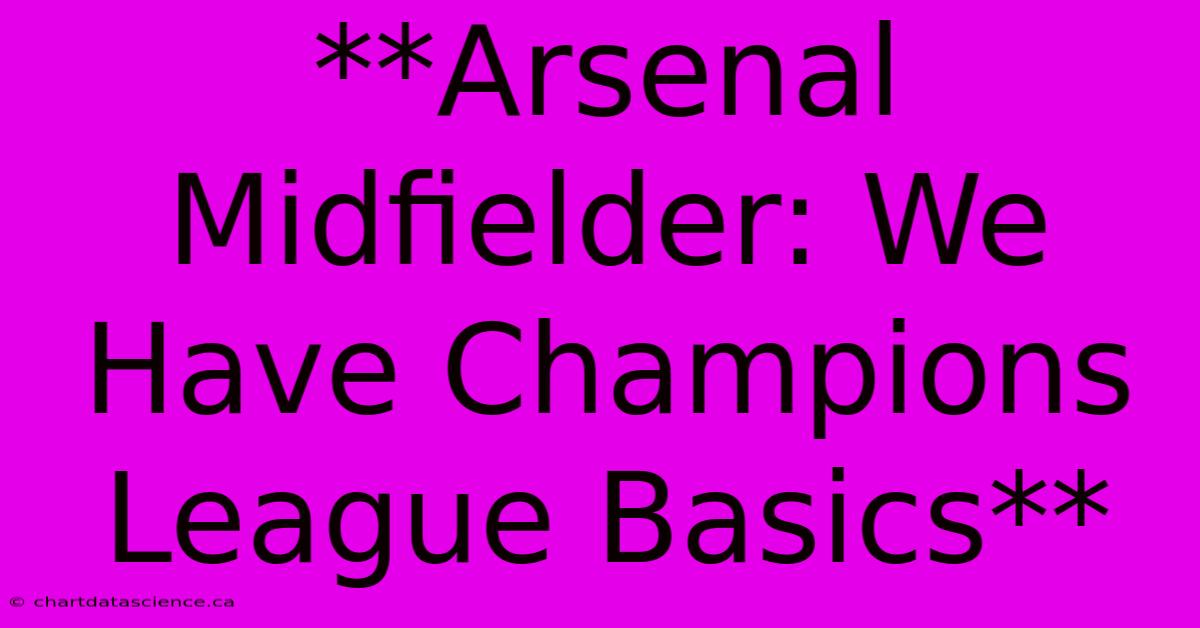 **Arsenal Midfielder: We Have Champions League Basics** 