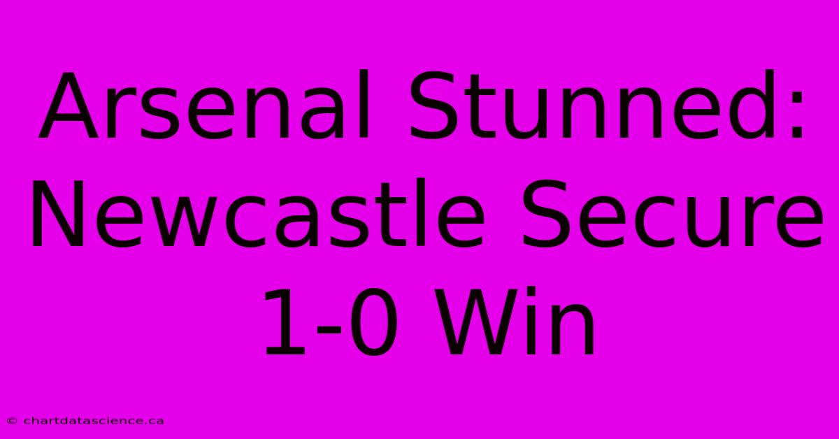 Arsenal Stunned: Newcastle Secure 1-0 Win