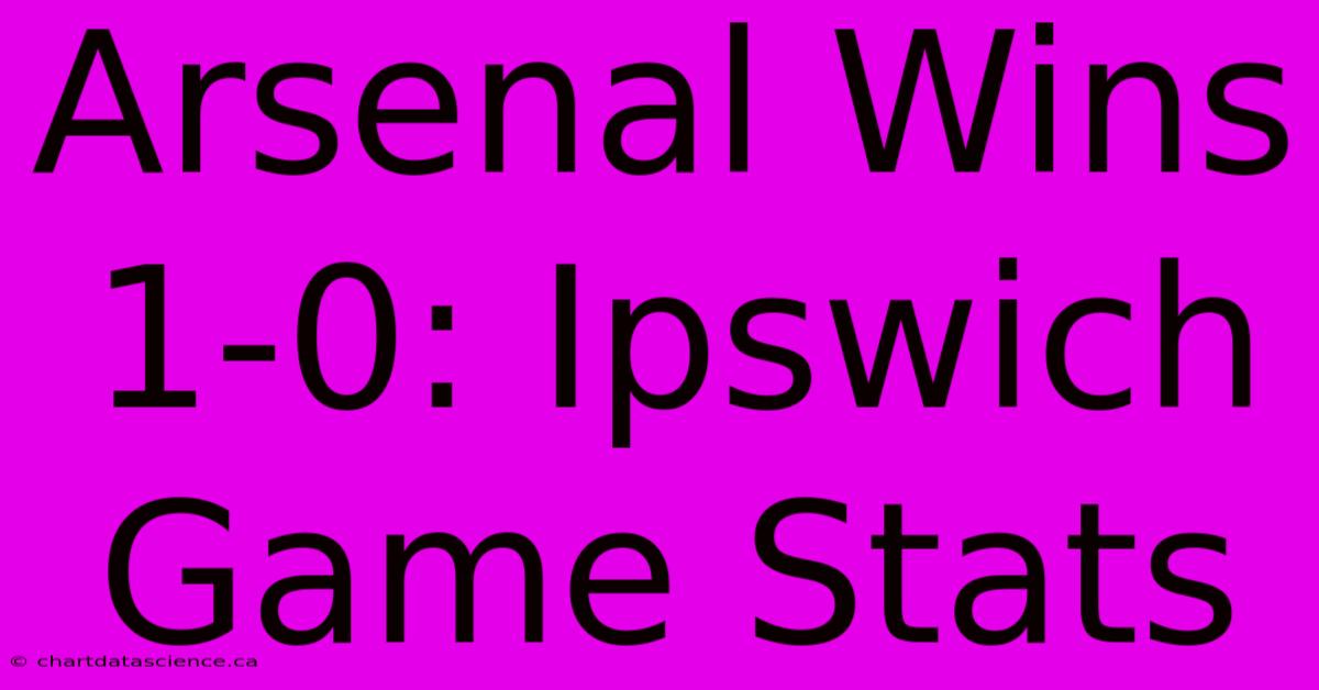 Arsenal Wins 1-0: Ipswich Game Stats