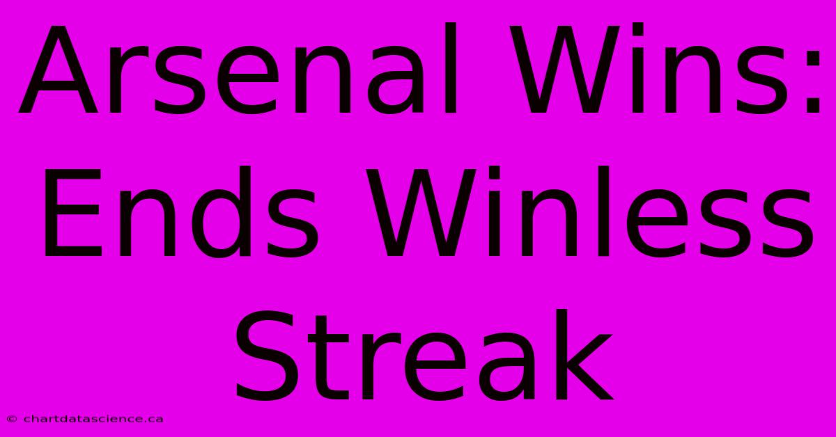 Arsenal Wins: Ends Winless Streak