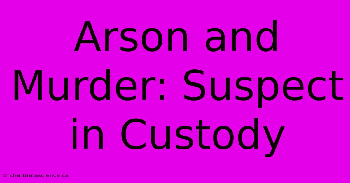 Arson And Murder: Suspect In Custody