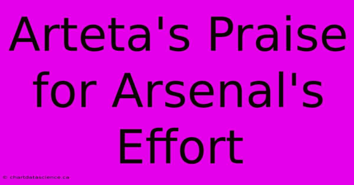 Arteta's Praise For Arsenal's Effort