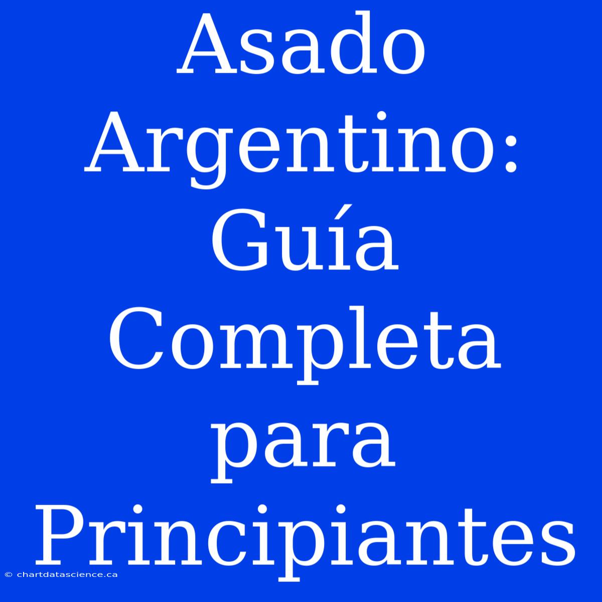 Asado Argentino: Guía Completa Para Principiantes