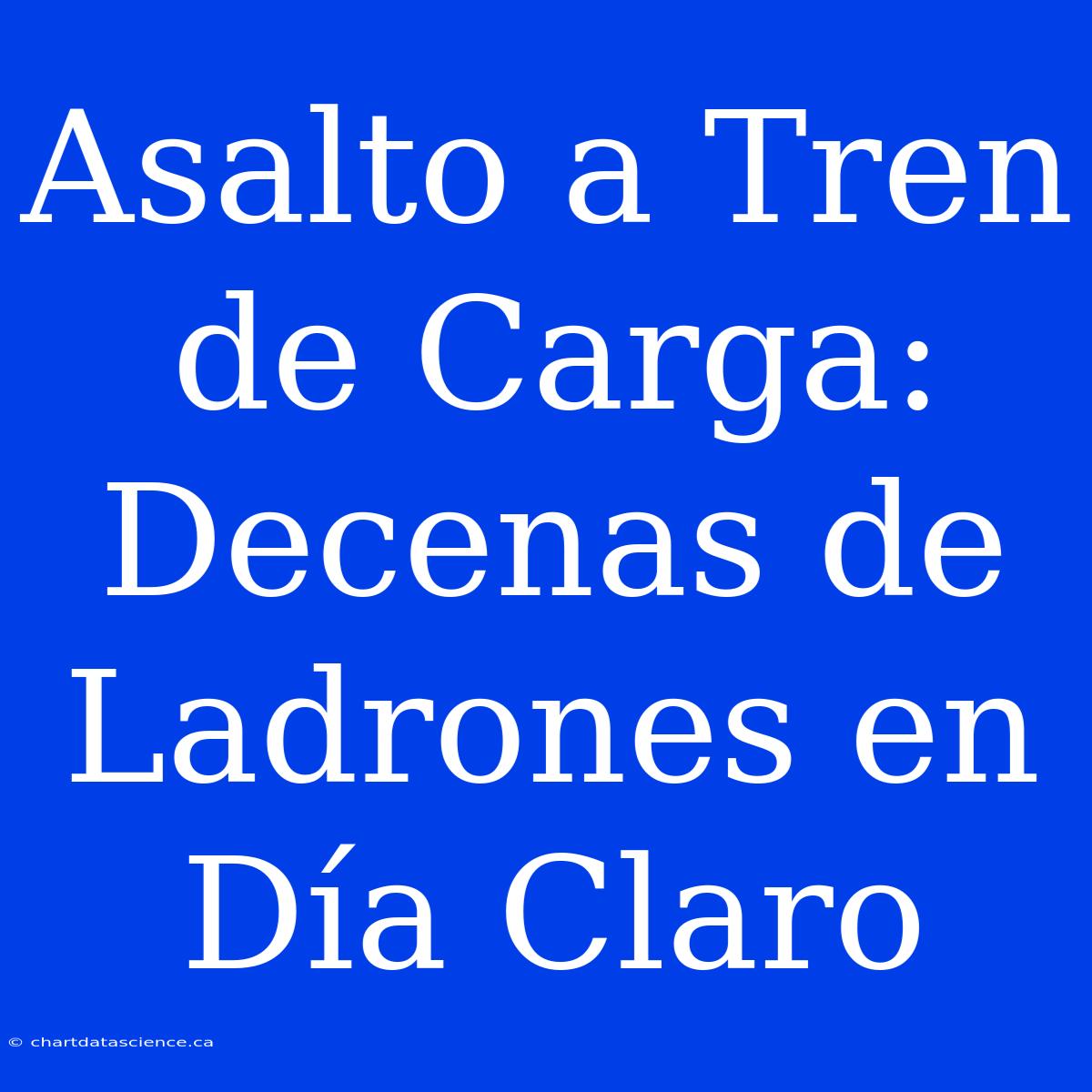 Asalto A Tren De Carga: Decenas De Ladrones En Día Claro