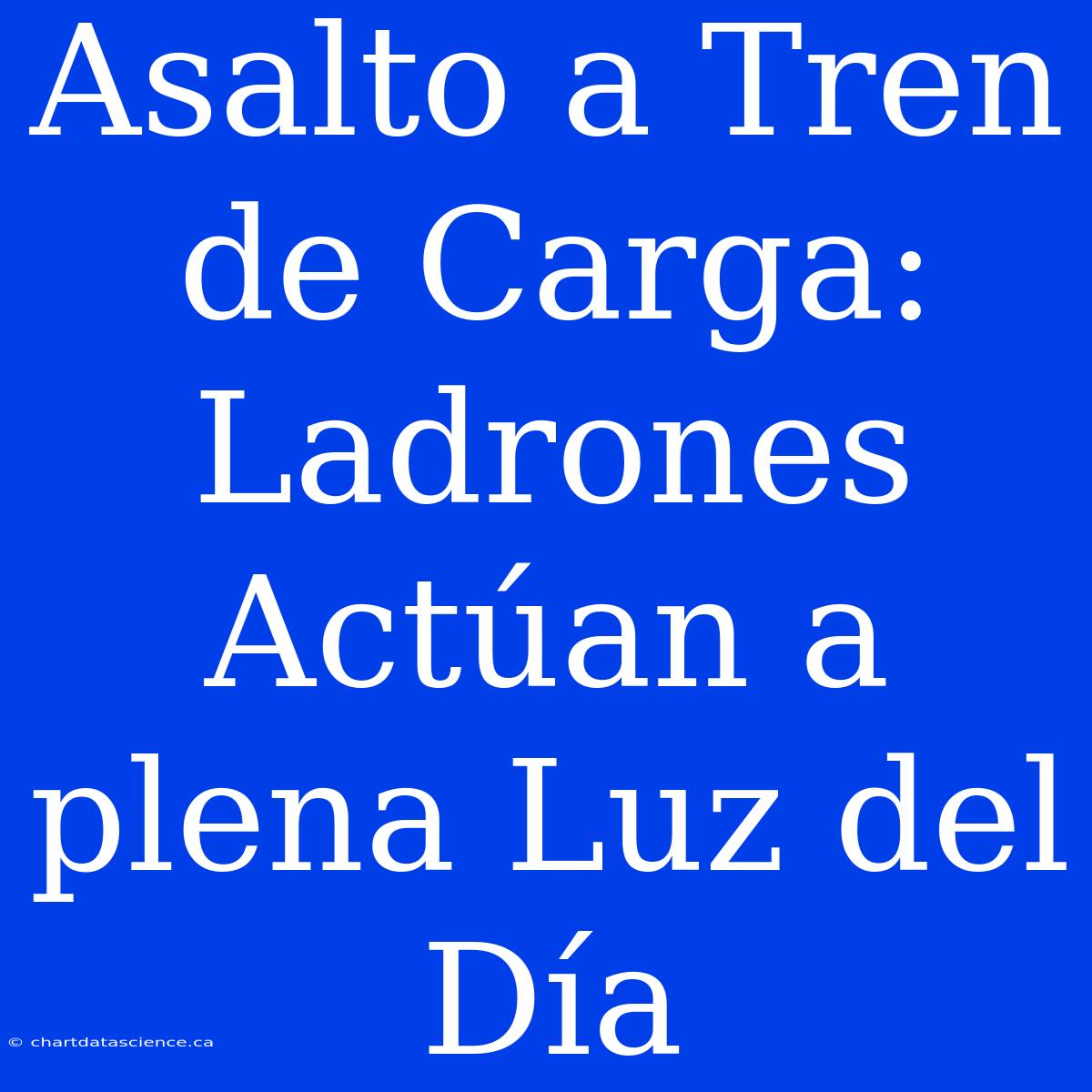 Asalto A Tren De Carga: Ladrones Actúan A Plena Luz Del Día