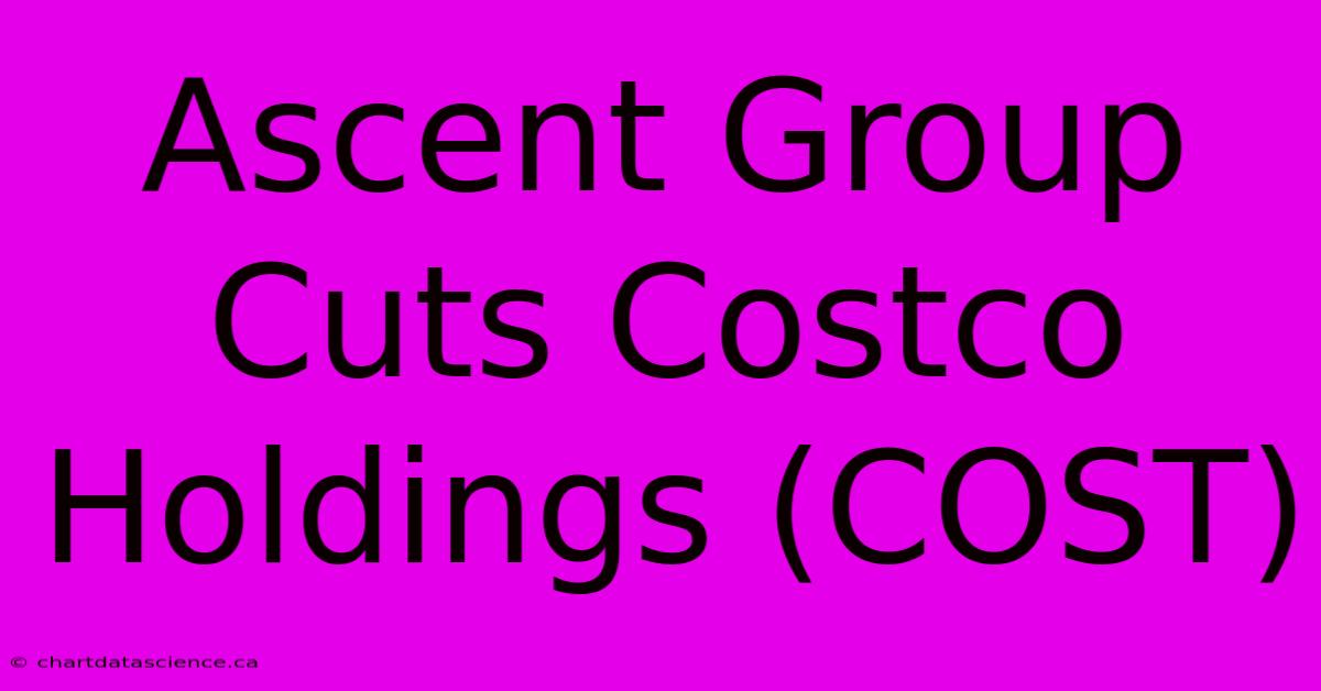 Ascent Group Cuts Costco Holdings (COST)