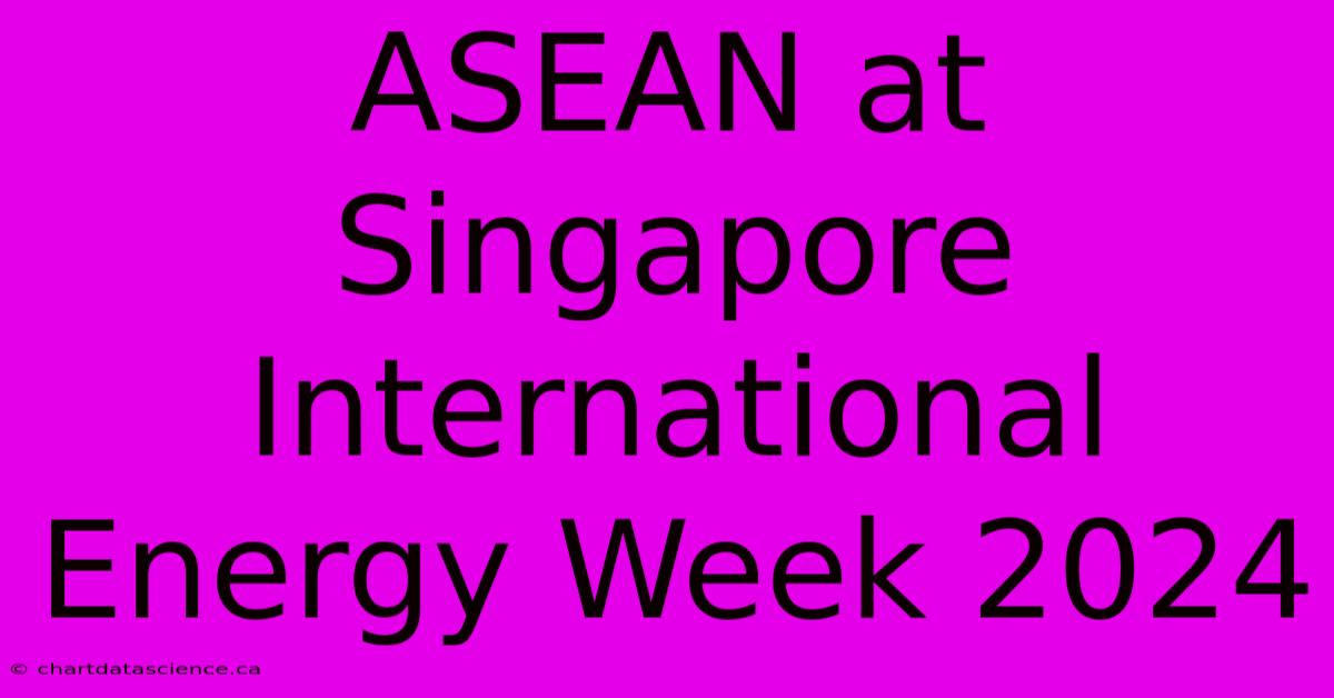 ASEAN At Singapore International Energy Week 2024