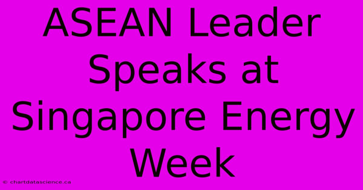 ASEAN Leader Speaks At Singapore Energy Week