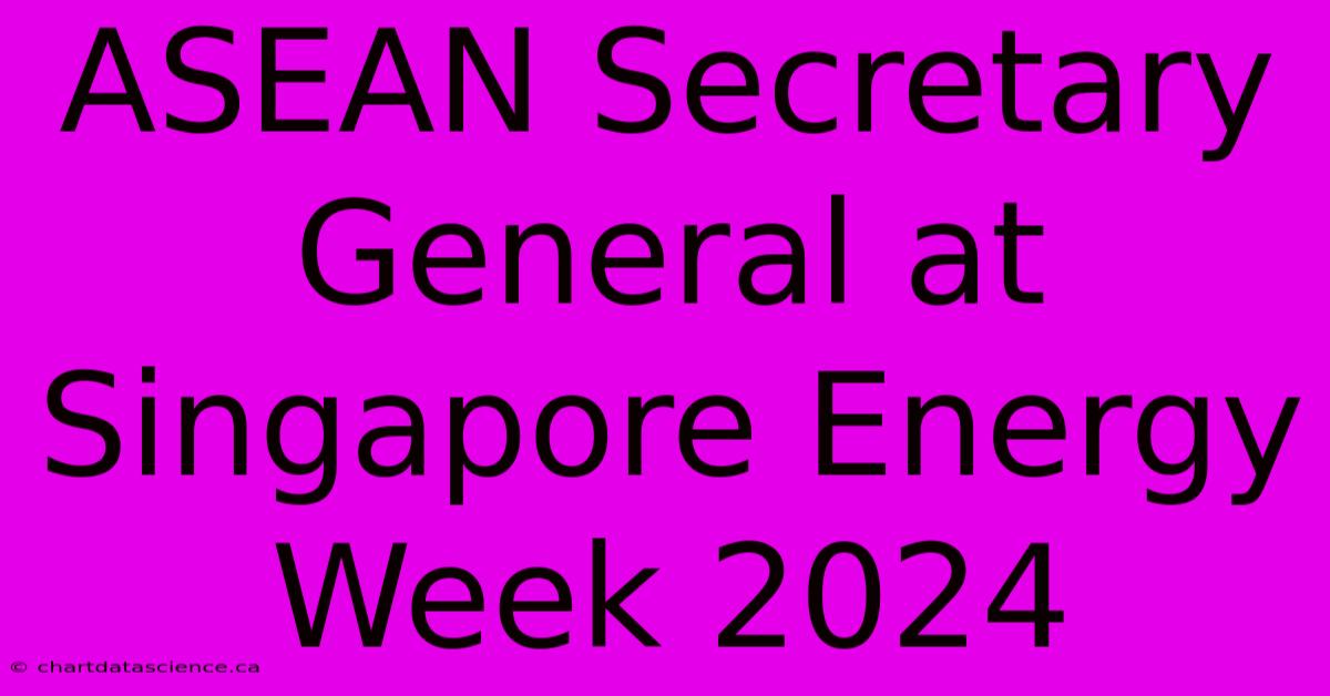 ASEAN Secretary General At Singapore Energy Week 2024