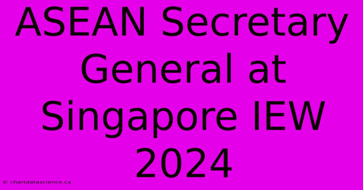 ASEAN Secretary General At Singapore IEW 2024