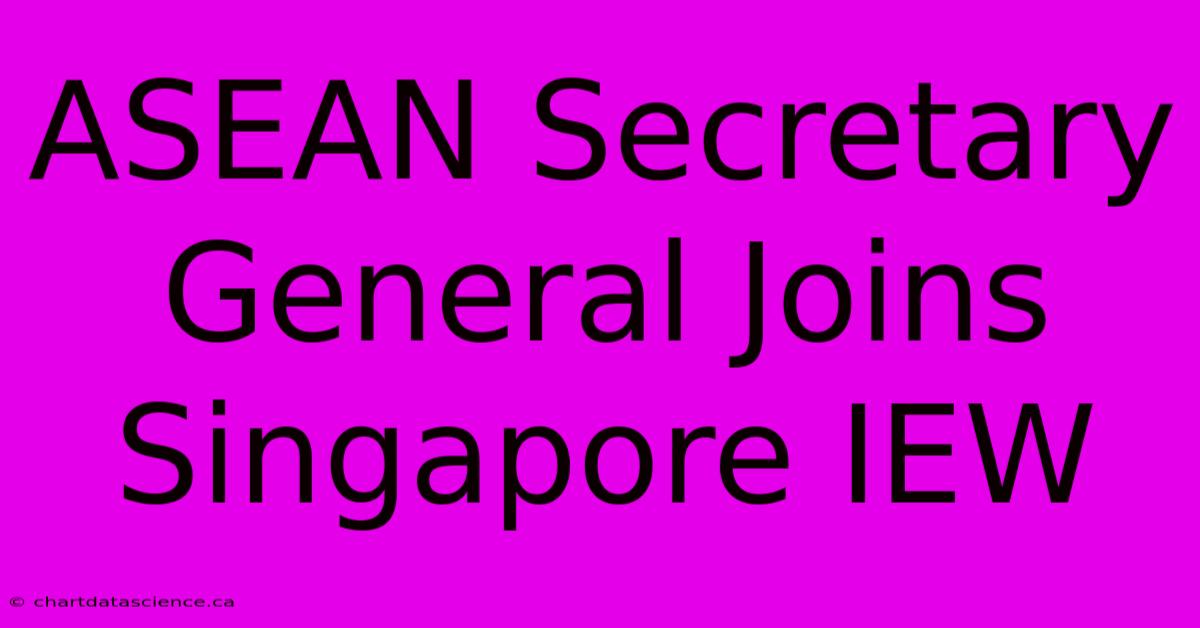 ASEAN Secretary General Joins Singapore IEW