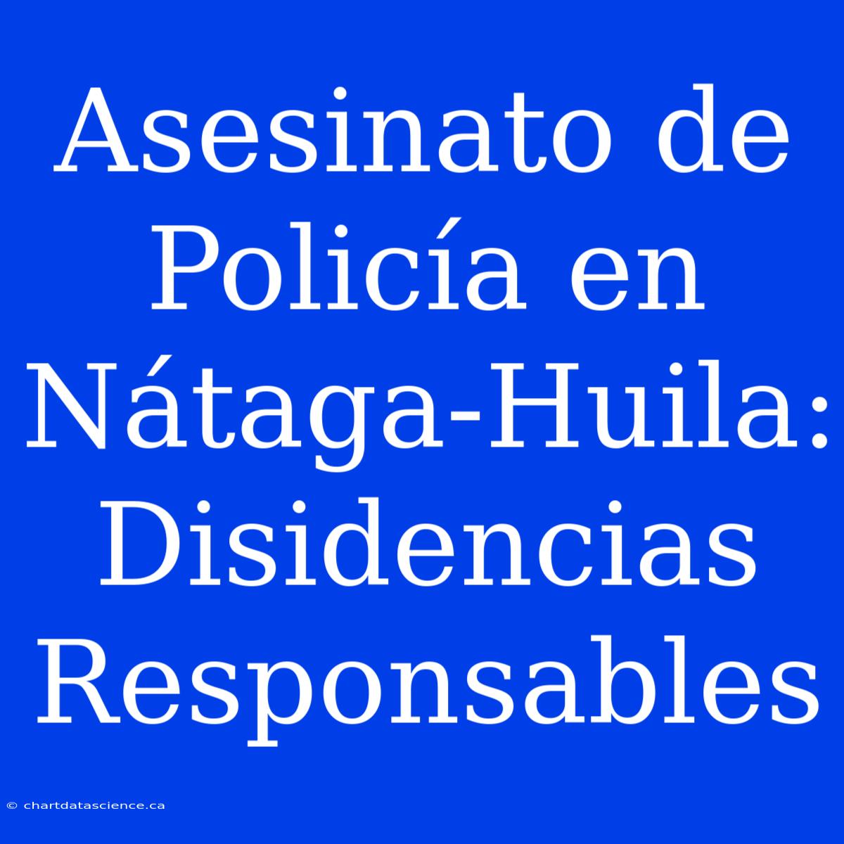 Asesinato De Policía En Nátaga-Huila: Disidencias Responsables