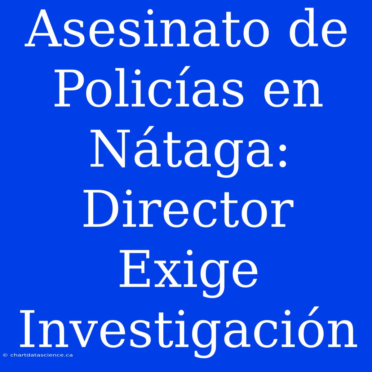 Asesinato De Policías En Nátaga: Director Exige Investigación