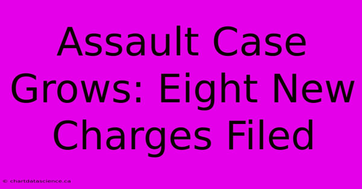 Assault Case Grows: Eight New Charges Filed