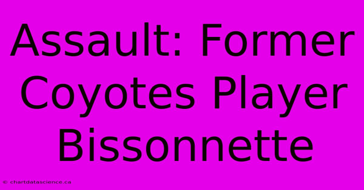 Assault: Former Coyotes Player Bissonnette