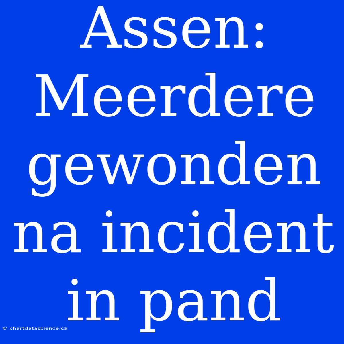 Assen: Meerdere Gewonden Na Incident In Pand