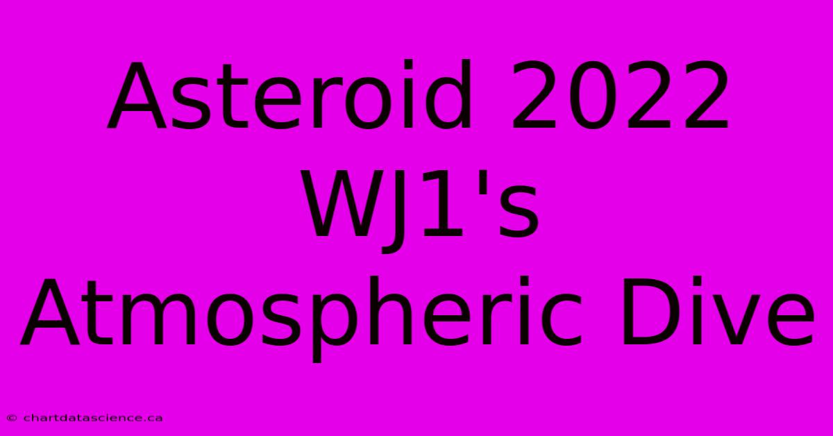 Asteroid 2022 WJ1's Atmospheric Dive