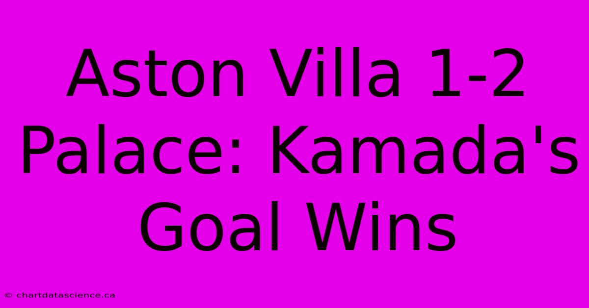 Aston Villa 1-2 Palace: Kamada's Goal Wins