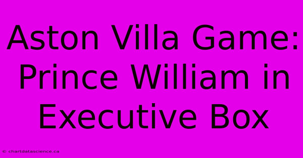 Aston Villa Game: Prince William In Executive Box