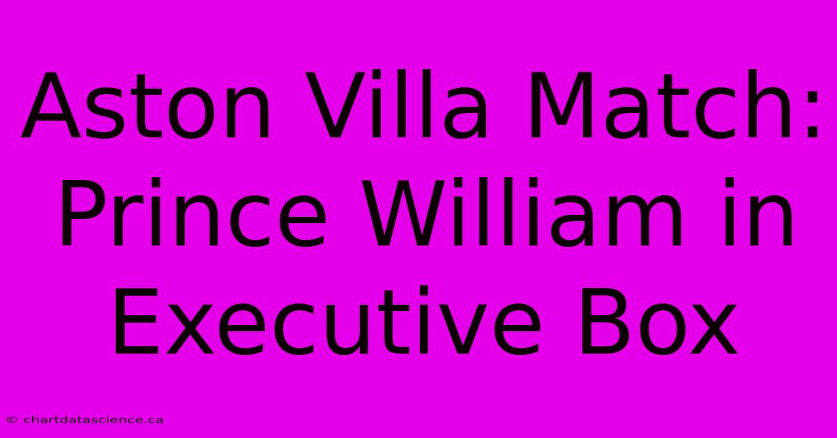 Aston Villa Match: Prince William In Executive Box