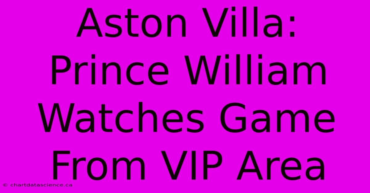 Aston Villa: Prince William Watches Game From VIP Area