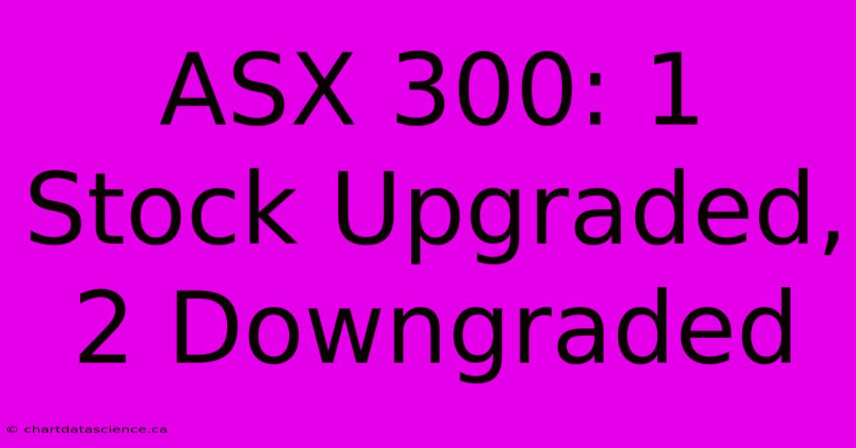 ASX 300: 1 Stock Upgraded, 2 Downgraded