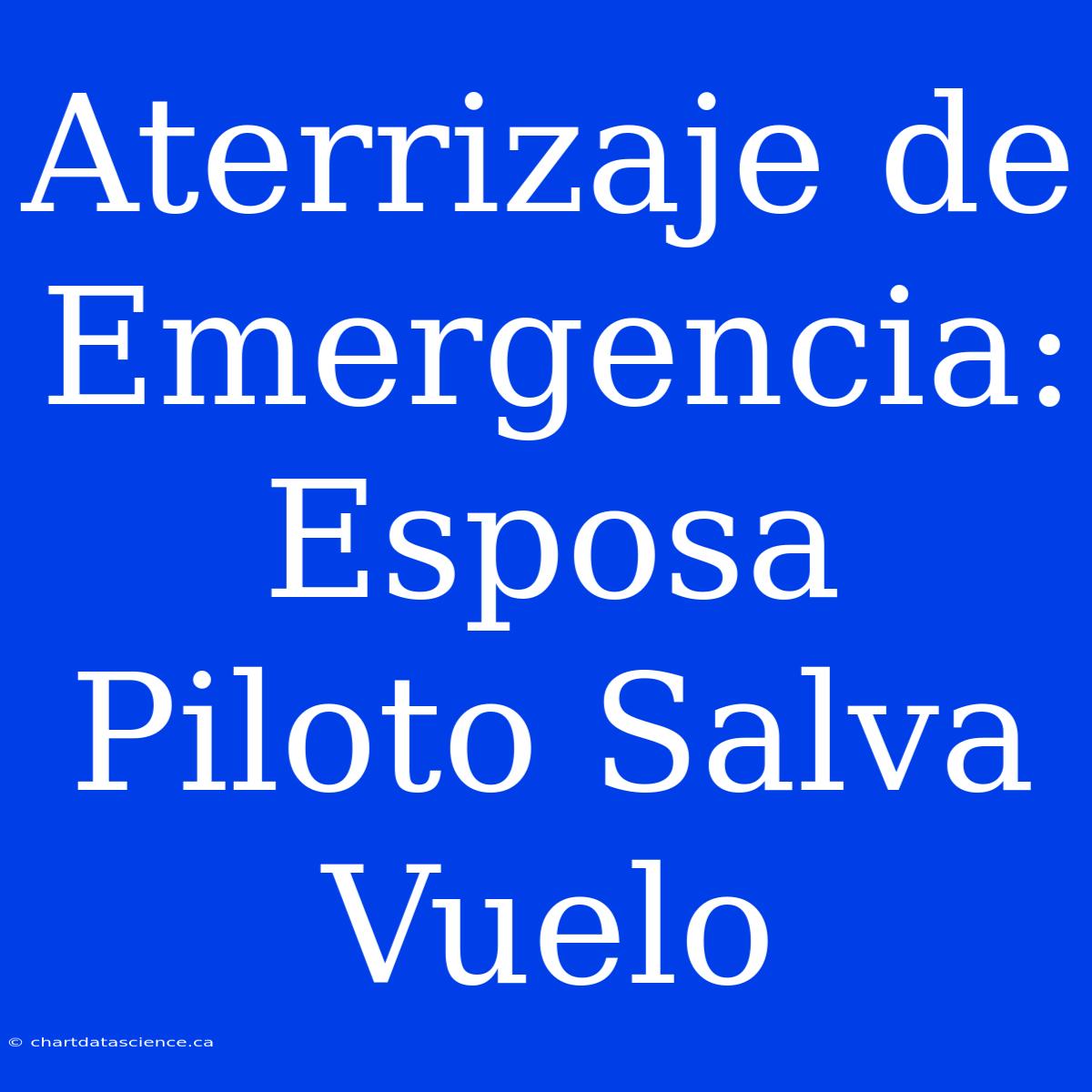 Aterrizaje De Emergencia: Esposa Piloto Salva Vuelo