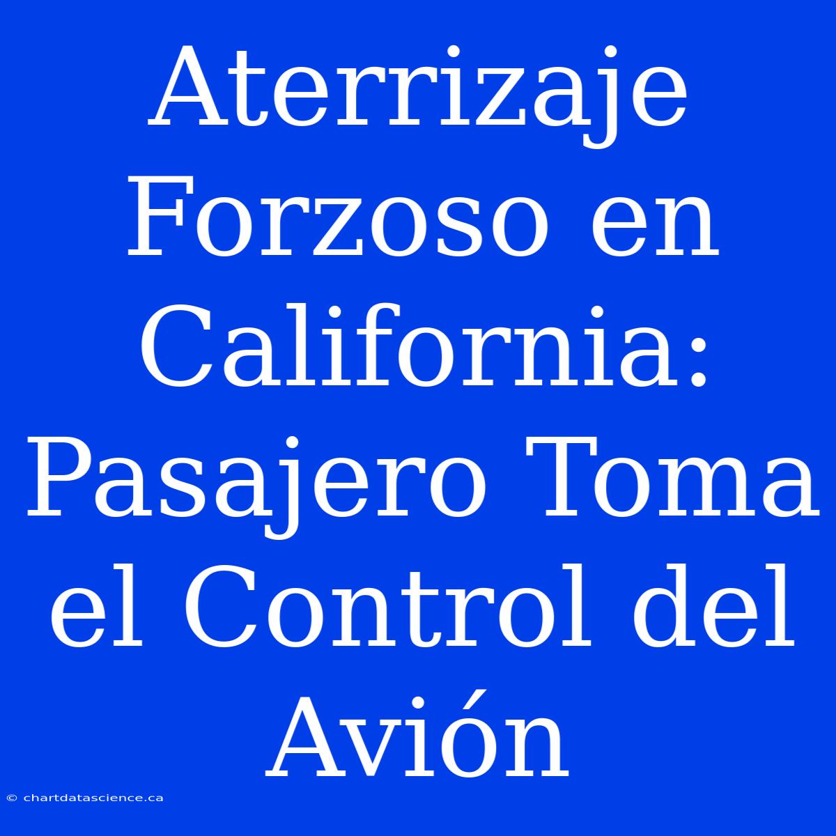 Aterrizaje Forzoso En California: Pasajero Toma El Control Del Avión