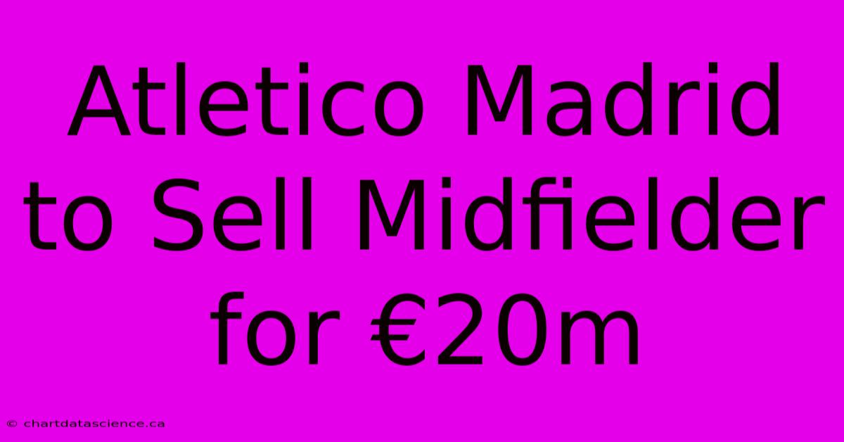 Atletico Madrid To Sell Midfielder For €20m