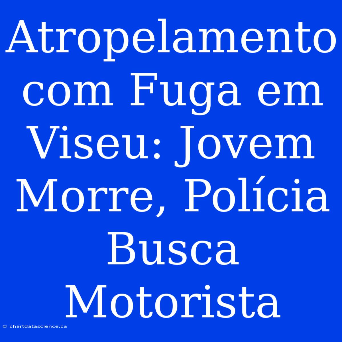 Atropelamento Com Fuga Em Viseu: Jovem Morre, Polícia Busca Motorista