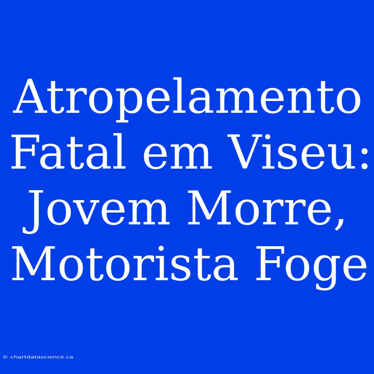 Atropelamento Fatal Em Viseu: Jovem Morre, Motorista Foge