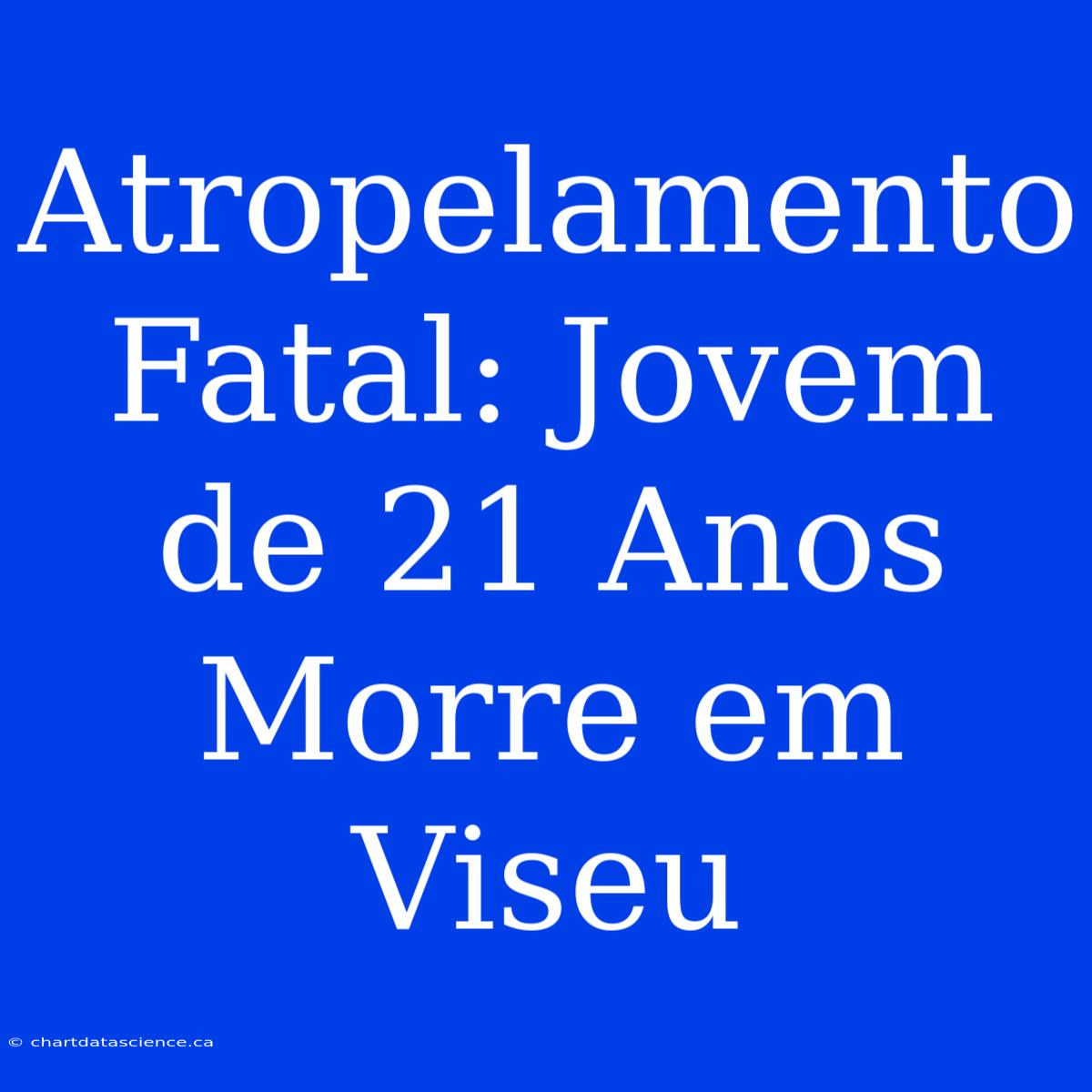 Atropelamento Fatal: Jovem De 21 Anos Morre Em Viseu