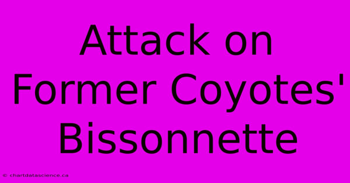 Attack On Former Coyotes' Bissonnette