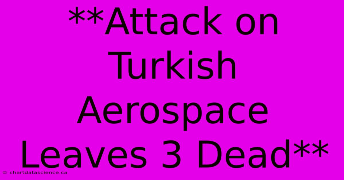 **Attack On Turkish Aerospace Leaves 3 Dead**