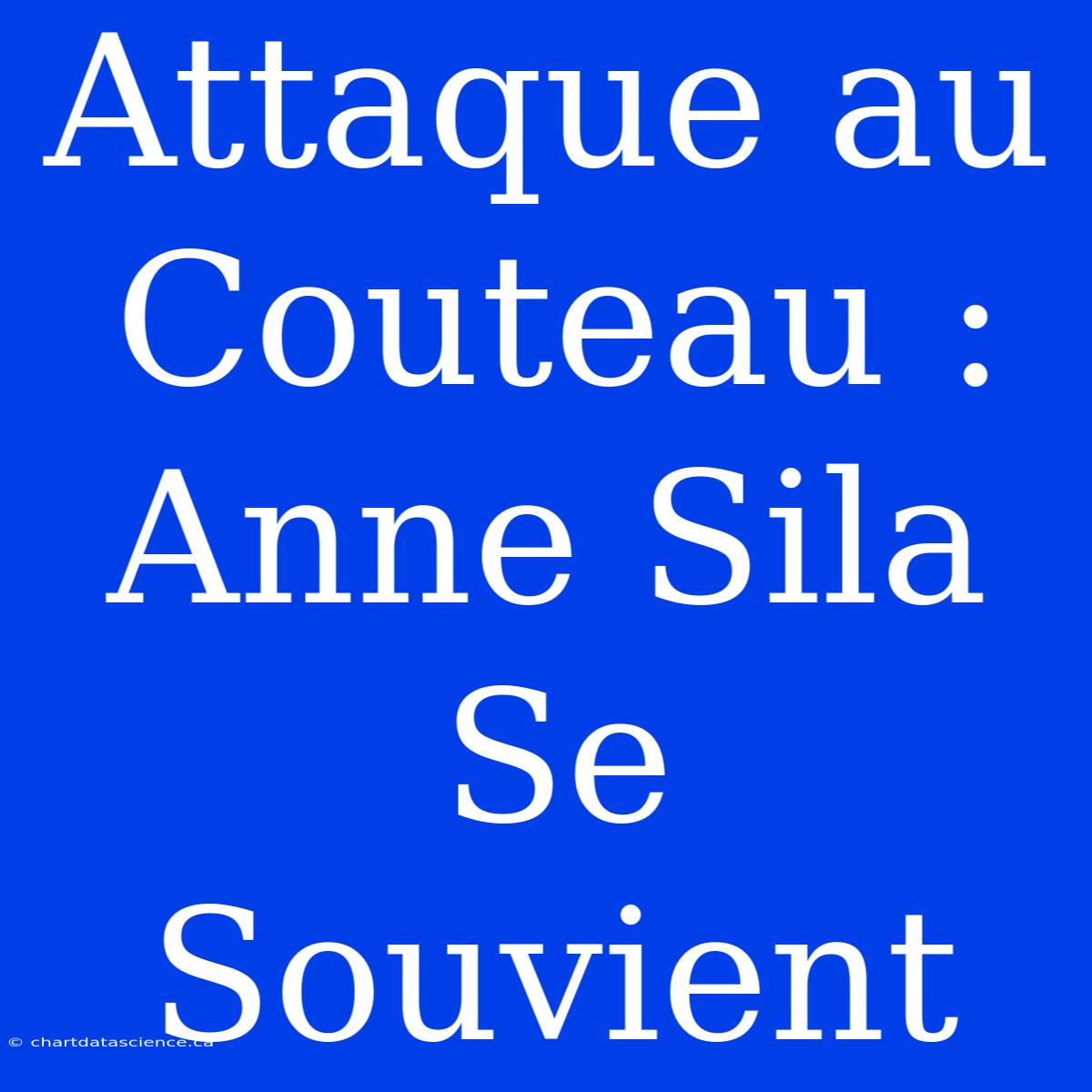 Attaque Au Couteau : Anne Sila Se Souvient