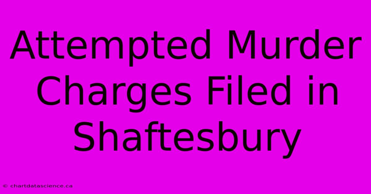 Attempted Murder Charges Filed In Shaftesbury