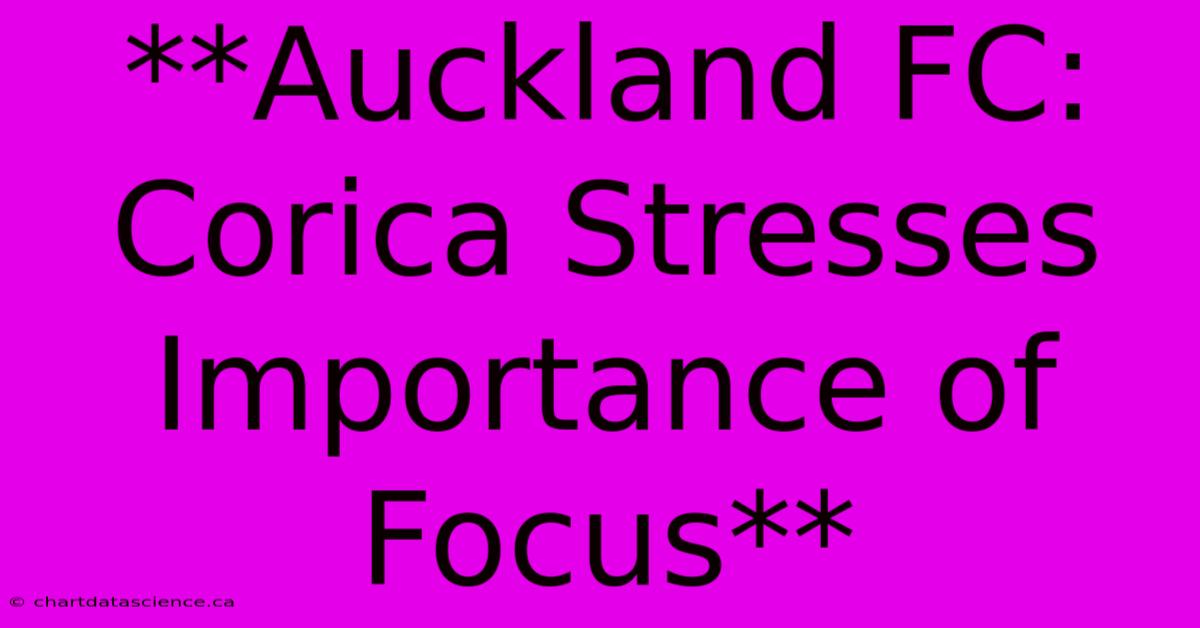 **Auckland FC: Corica Stresses Importance Of Focus**