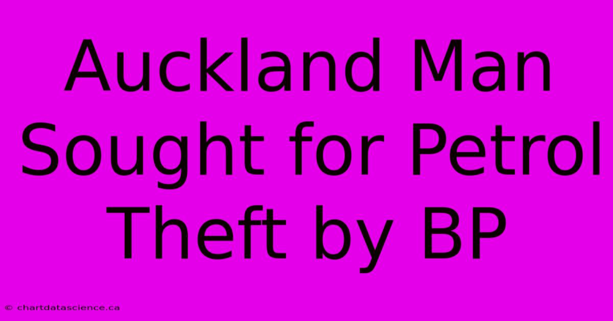 Auckland Man Sought For Petrol Theft By BP