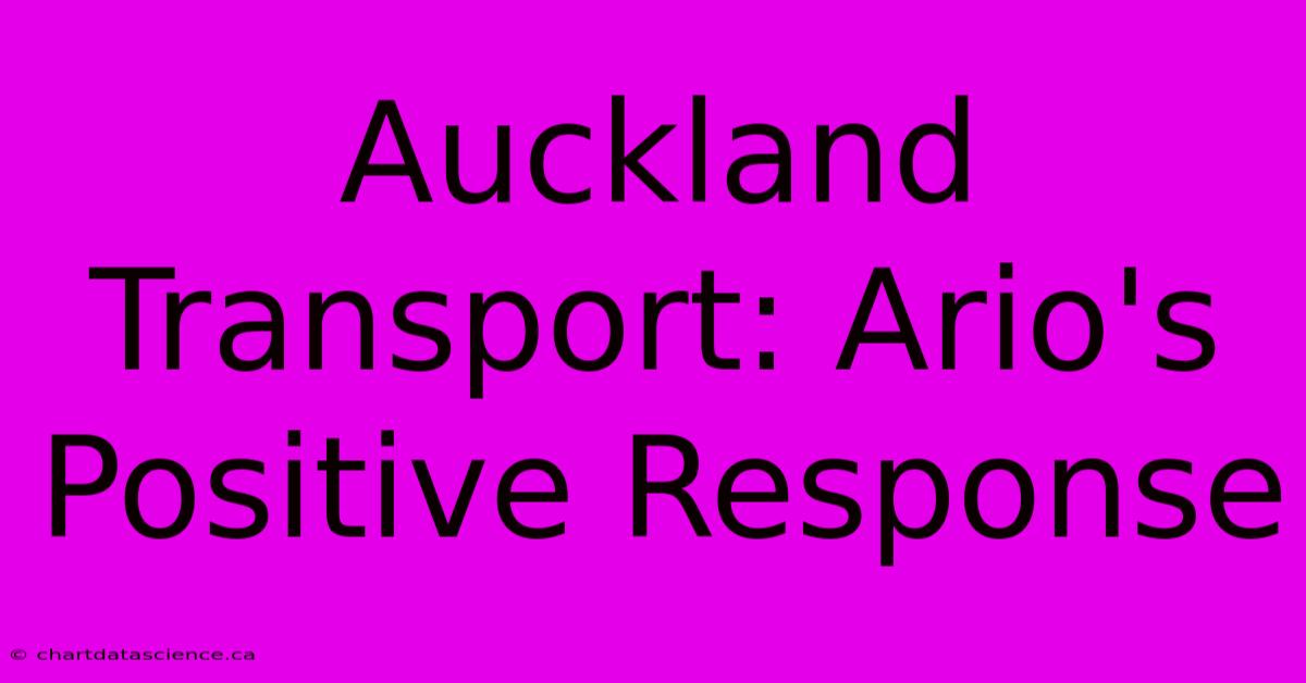 Auckland Transport: Ario's Positive Response