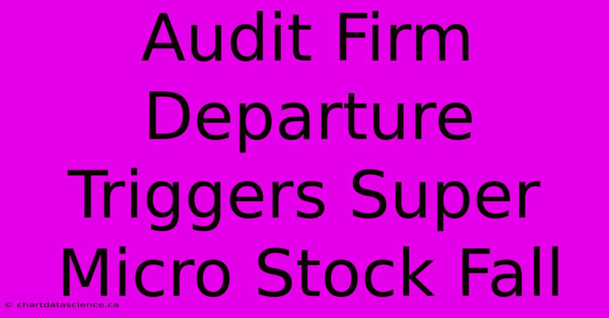 Audit Firm Departure Triggers Super Micro Stock Fall 