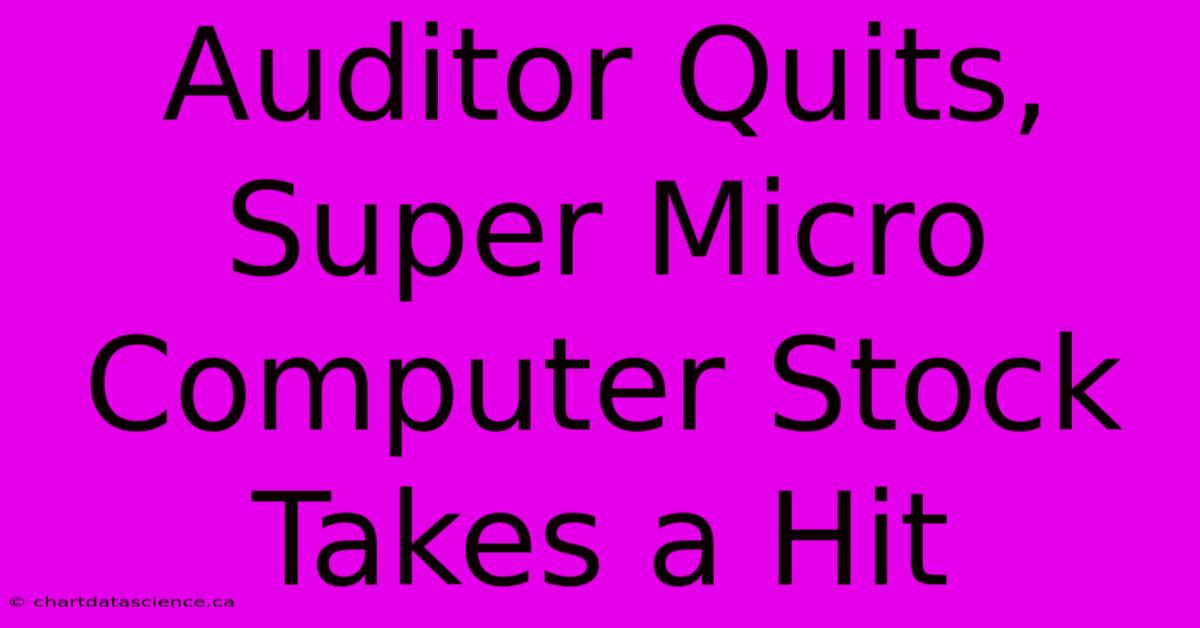 Auditor Quits, Super Micro Computer Stock Takes A Hit 