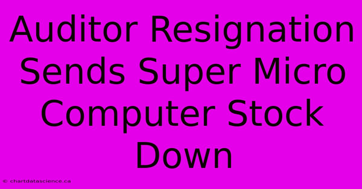 Auditor Resignation Sends Super Micro Computer Stock Down