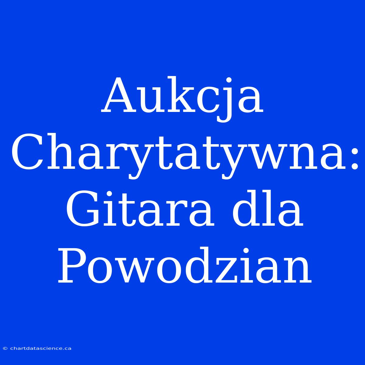 Aukcja Charytatywna: Gitara Dla Powodzian